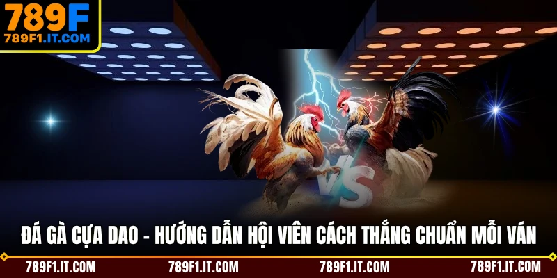 Đá Gà Cựa Dao - Hướng Dẫn Hội Viên Cách Thắng Chuẩn Mỗi Ván