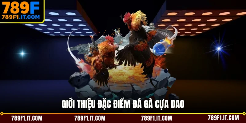 Giới thiệu đặc điểm đá gà cựa dao