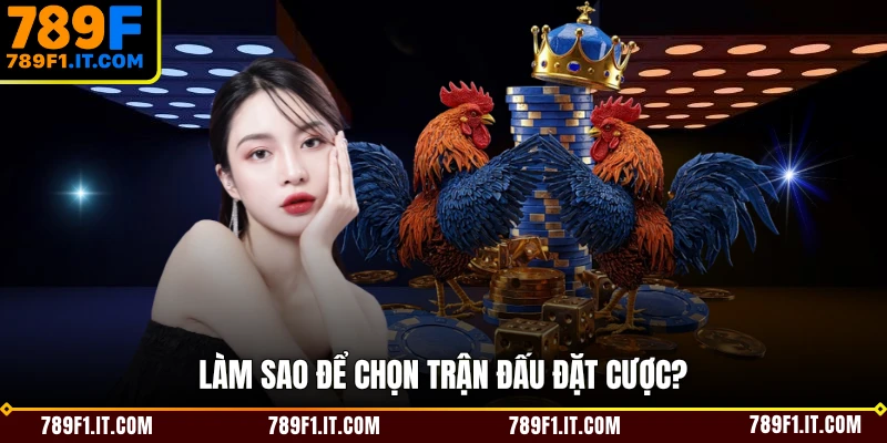 Làm sao để chọn trận đấu đặt cược?