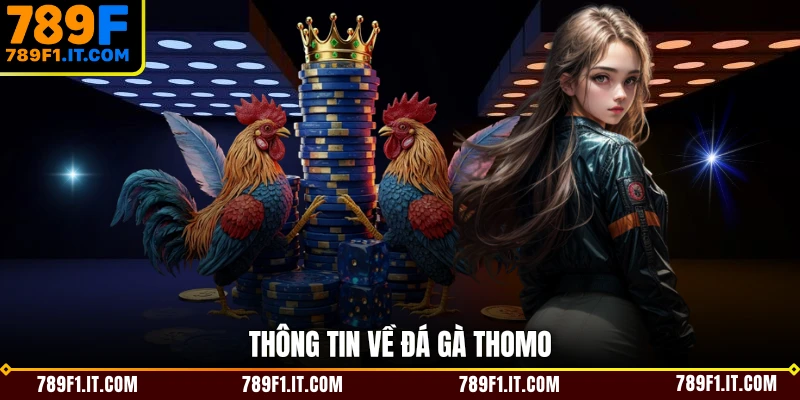 Thông tin về đá gà Thomo