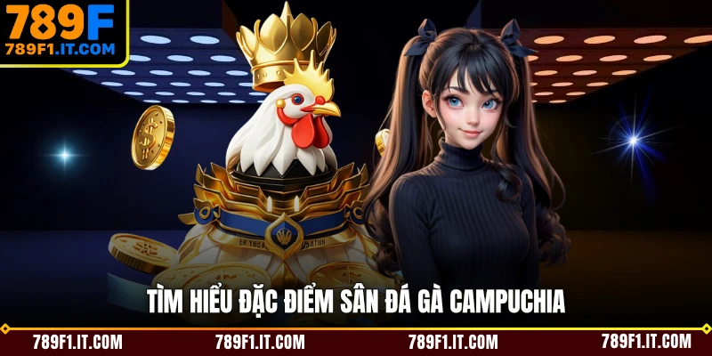 Tìm hiểu đặc điểm sân đá gà Campuchia