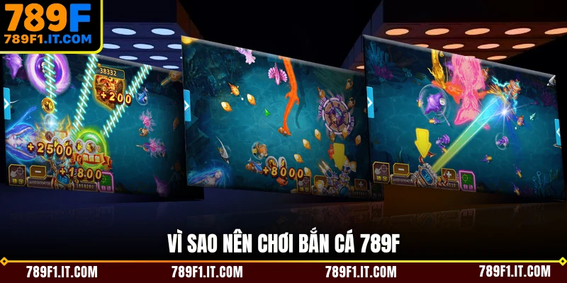 Vì sao nên chơi bắn cá 789F
